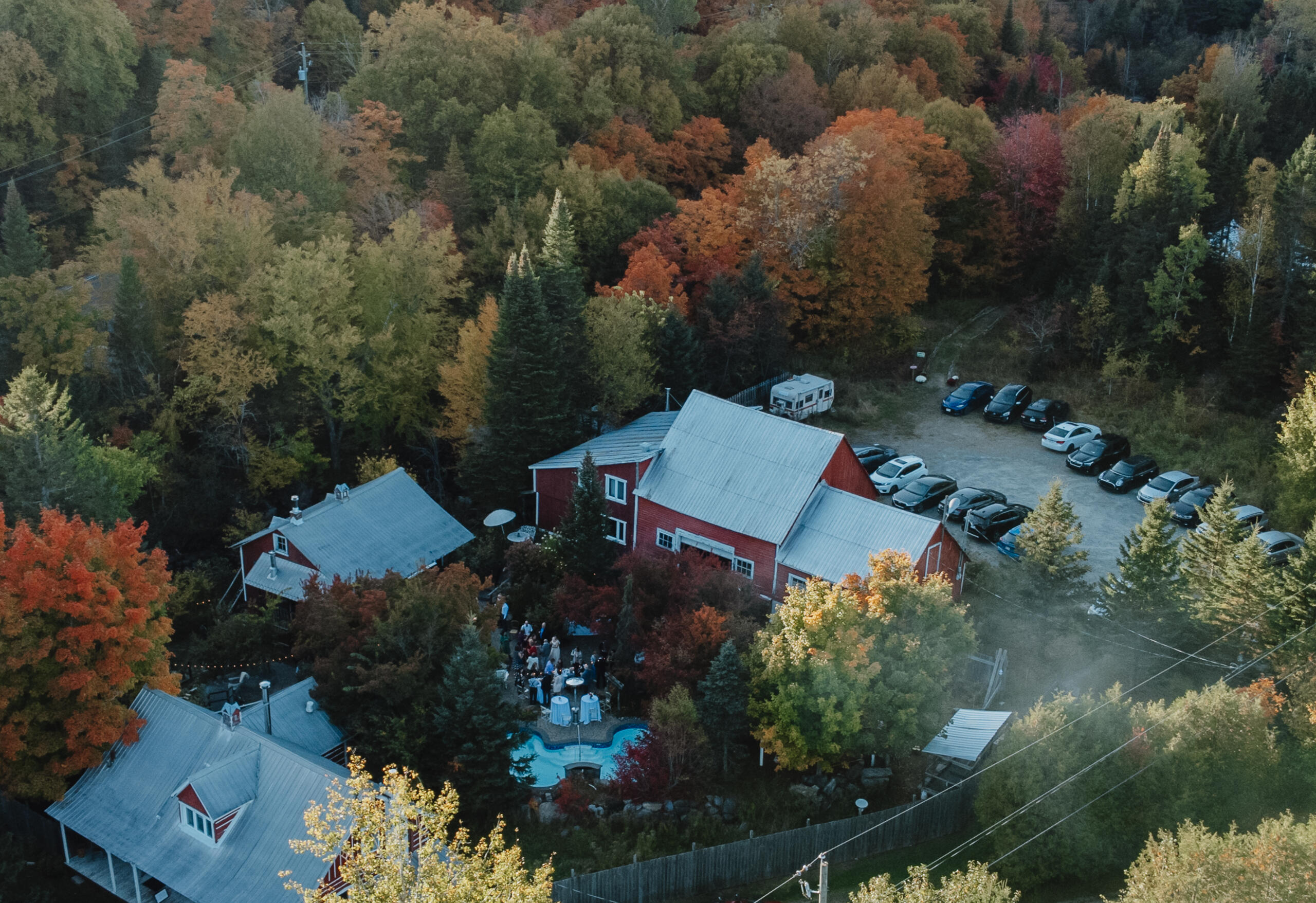 Clin d'oeil - Les Conifères