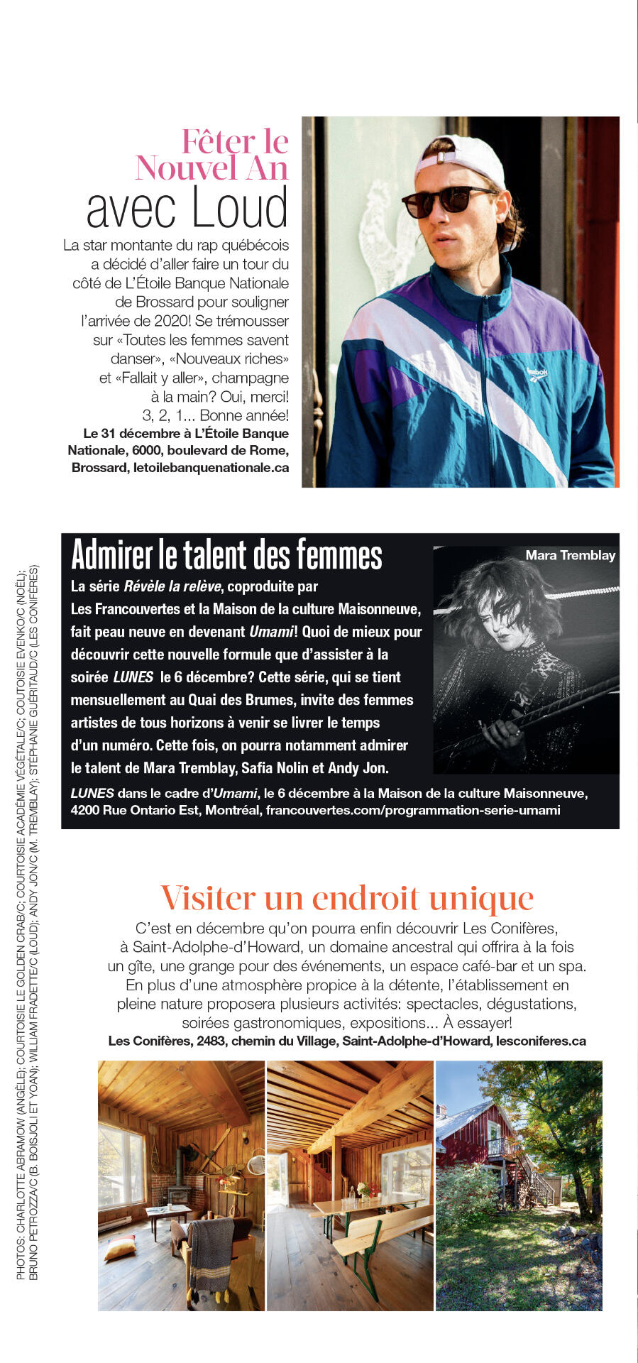 Clin d'oeil - Les Conifères